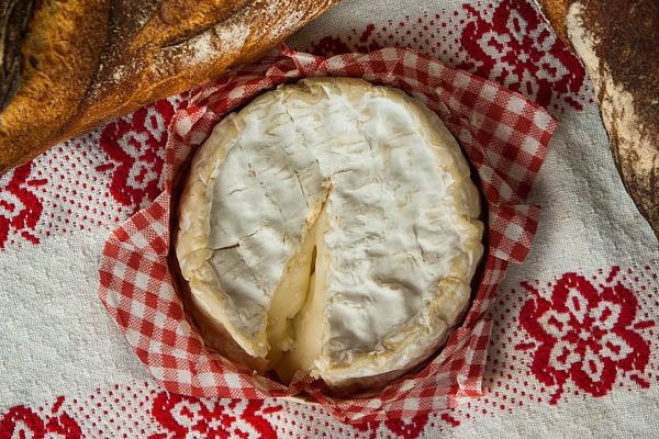 sült camembert